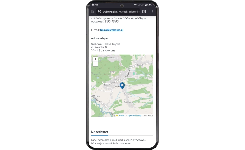 Podgląd działania aplikacji w szablonie w technologii Storefront