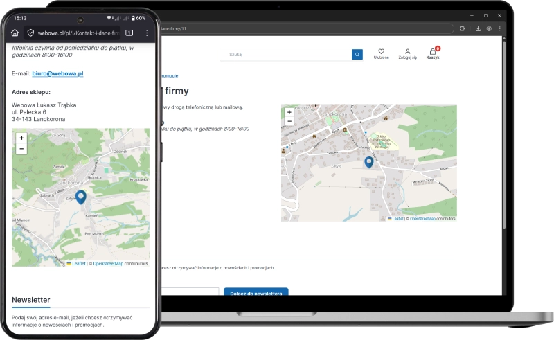 Podgląd działania aplikacji w szablonie w technologii Storefront